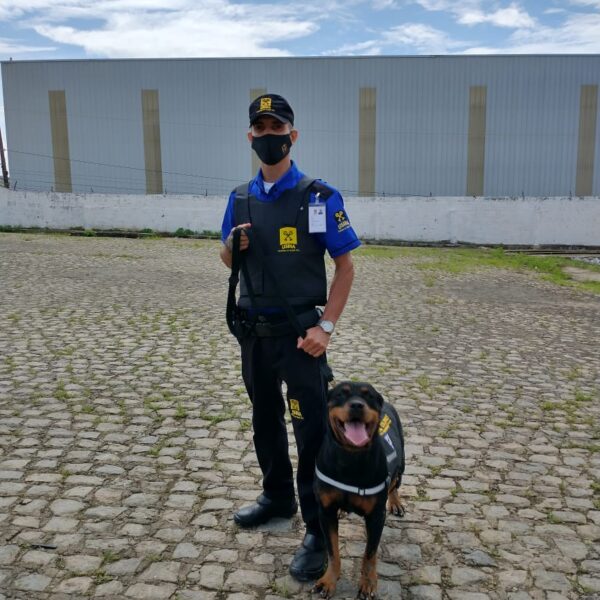 Vigilância com Cães